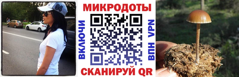 Псилоцибиновые грибы Psilocybe  наркота  Завитинск 